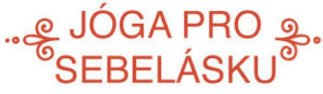Balíček jóga videí pro ženy pro cvičení jógy doma od projektu Jóga z obýváku.