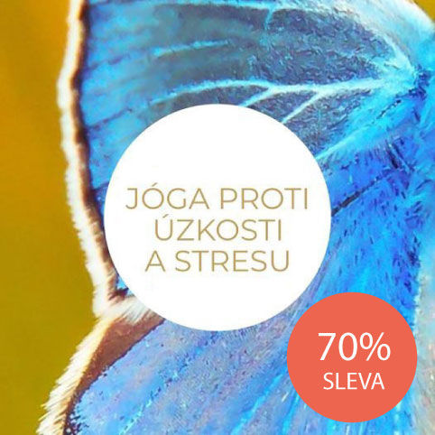 Balíček jógy pro domácí cvičení pro jóga začátečníky i pokročilé jogíny proti stresu, úzkosti a depresi.