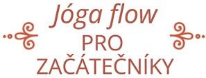 Jóga pro začátečníky pro cvičení doma s úžasnou lektorkou jógy Soňou Třetinovou, který byl vytvořen pro projekt "Jóga z obýváku".
