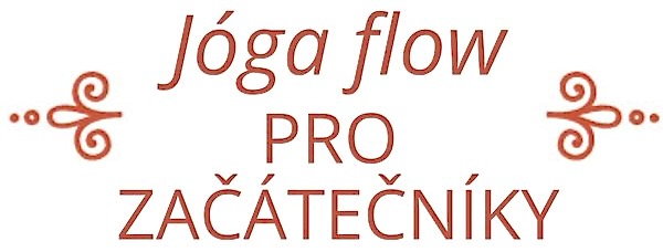 Jóga pro začátečníky pro cvičení doma s úžasnou lektorkou jógy Soňou Třetinovou, který byl vytvořen pro projekt 