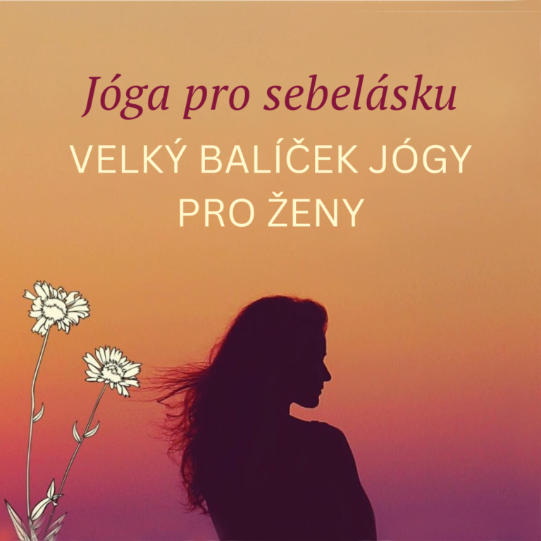 Balíček jógy pro ženy v&nbsp;každém věku s&nbsp;předními českými lektorkami jógy pro cvičení jógy doma.